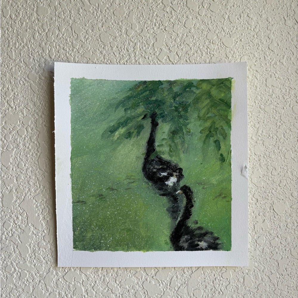 Green and Black Swan Original Art